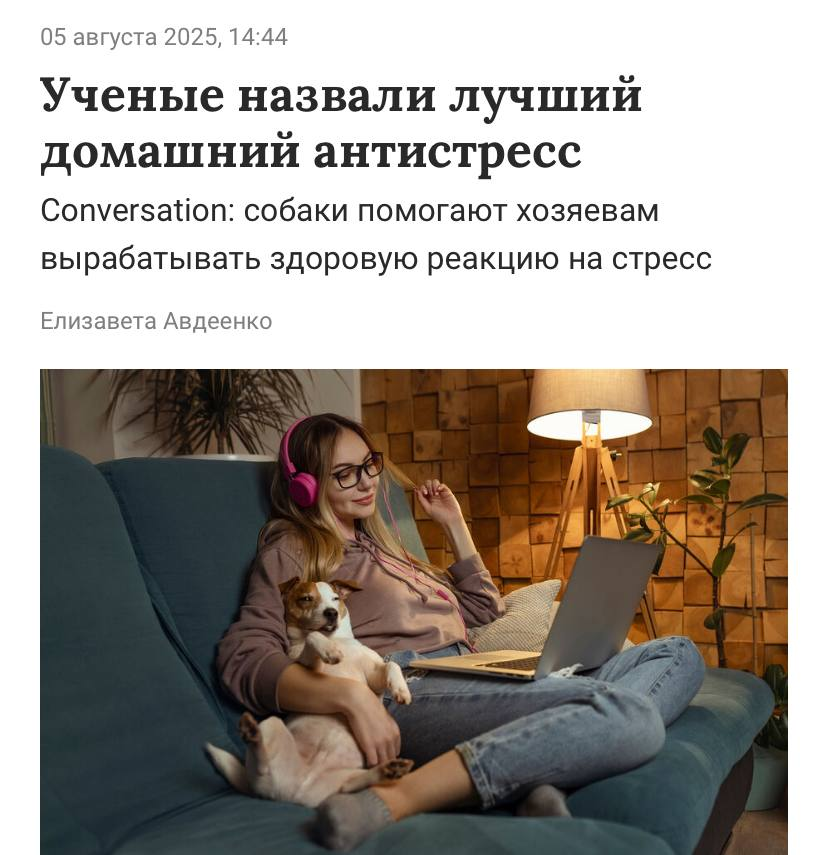 1754406769994.png