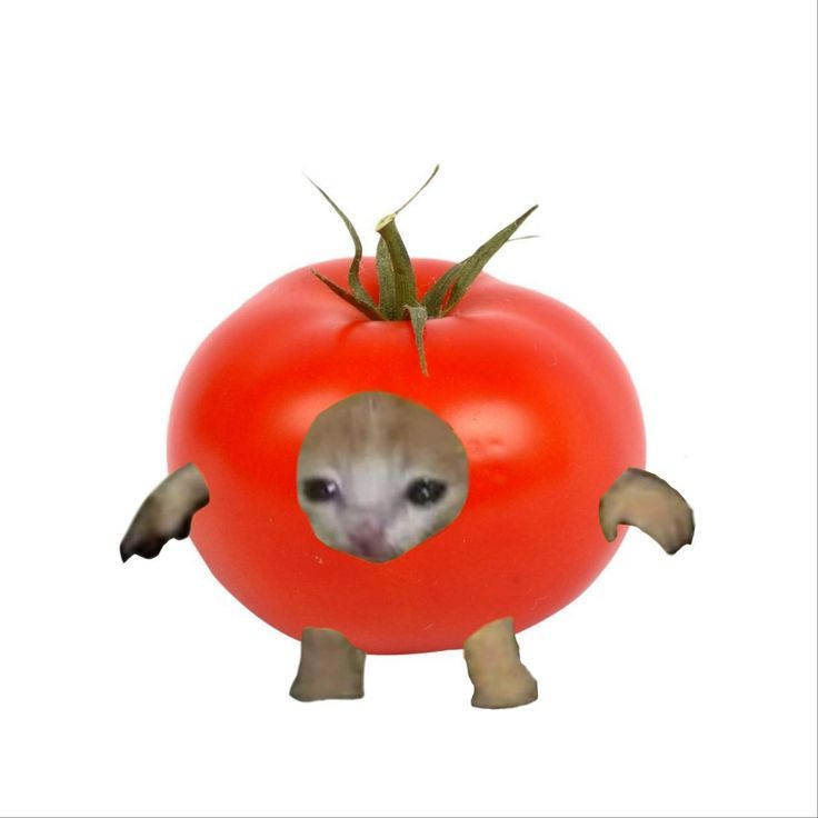 1754552641315.png