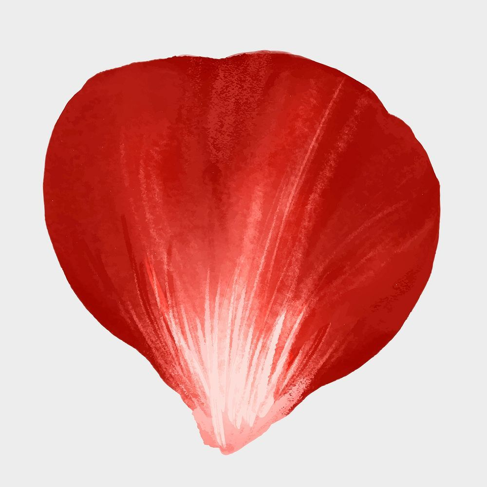 1754570670525.png