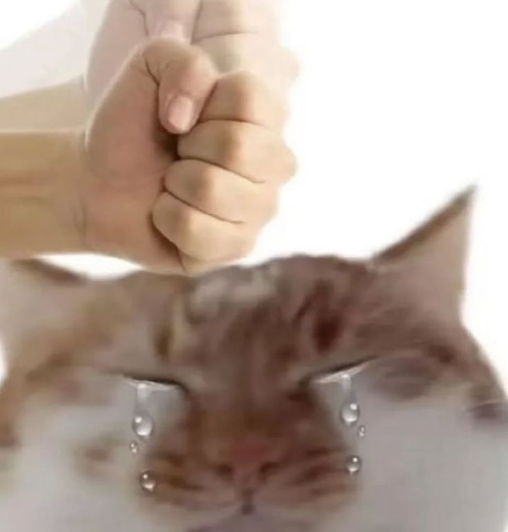 1754572477789.png