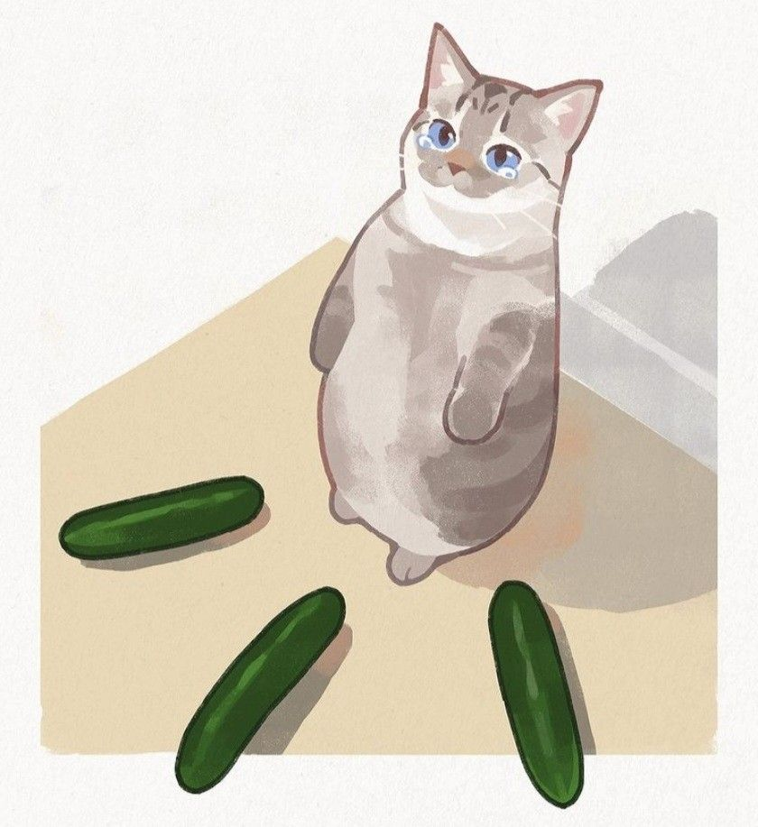 1754574331047.png