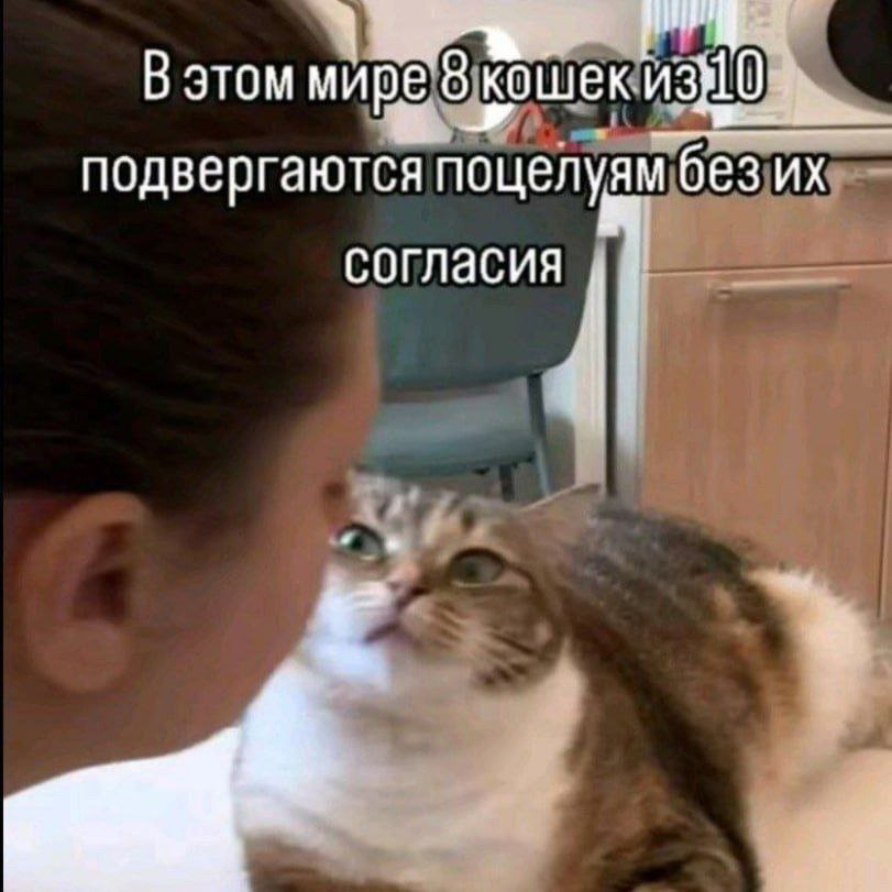 1754574610313.png