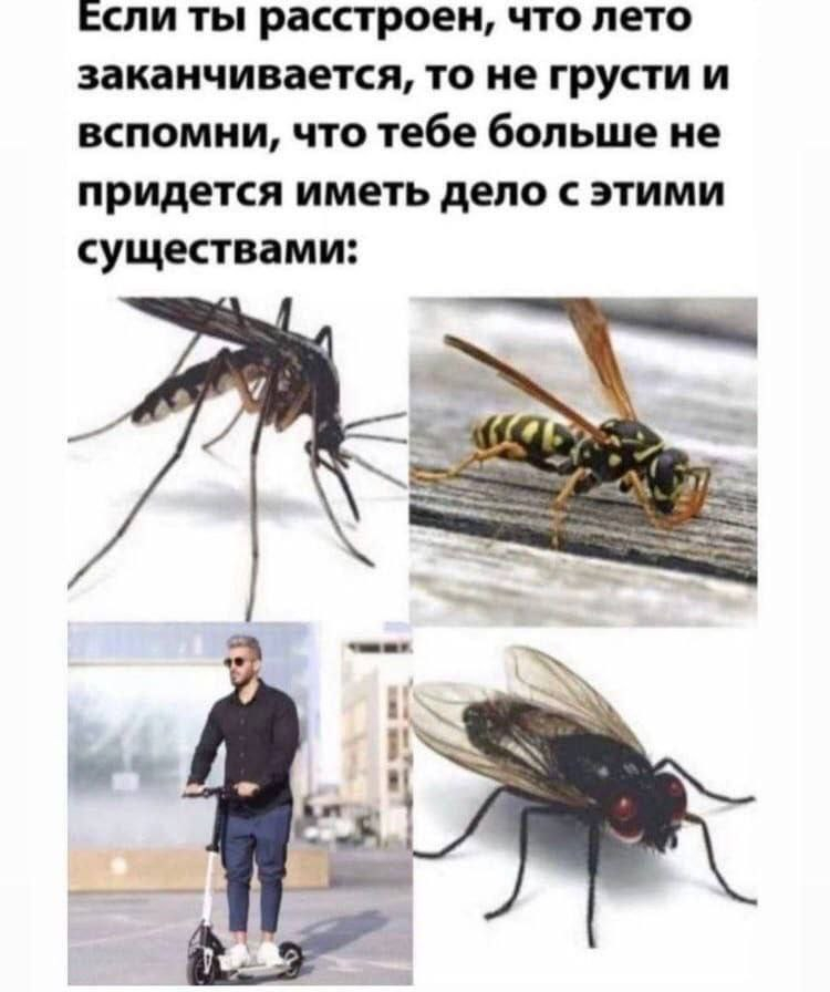 1754575364443.png