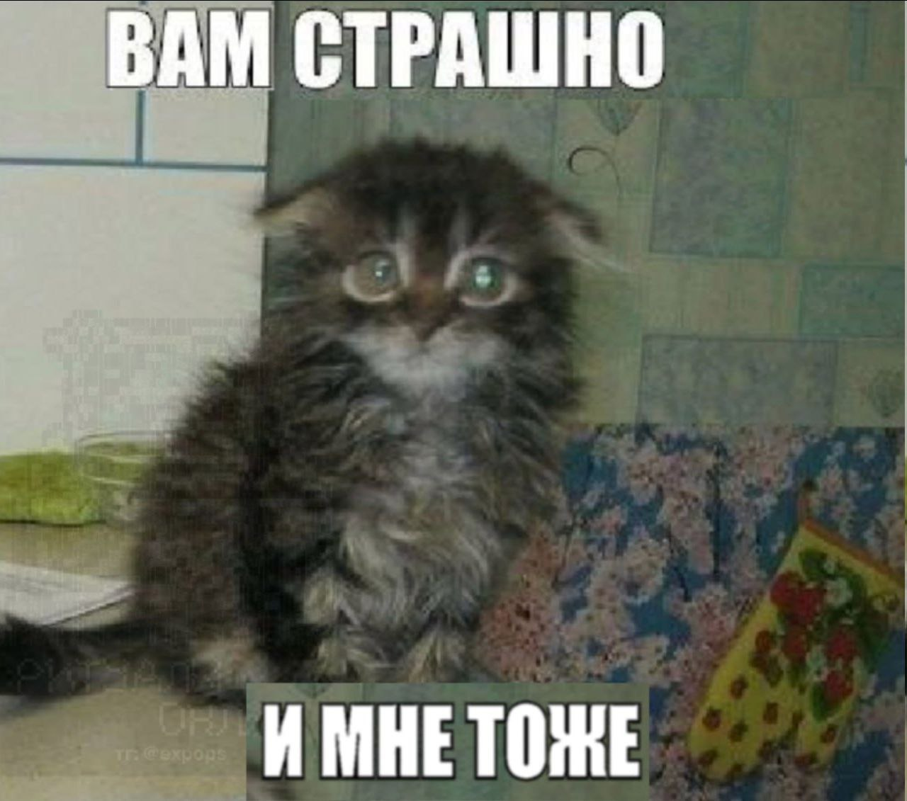 1754578520673.png