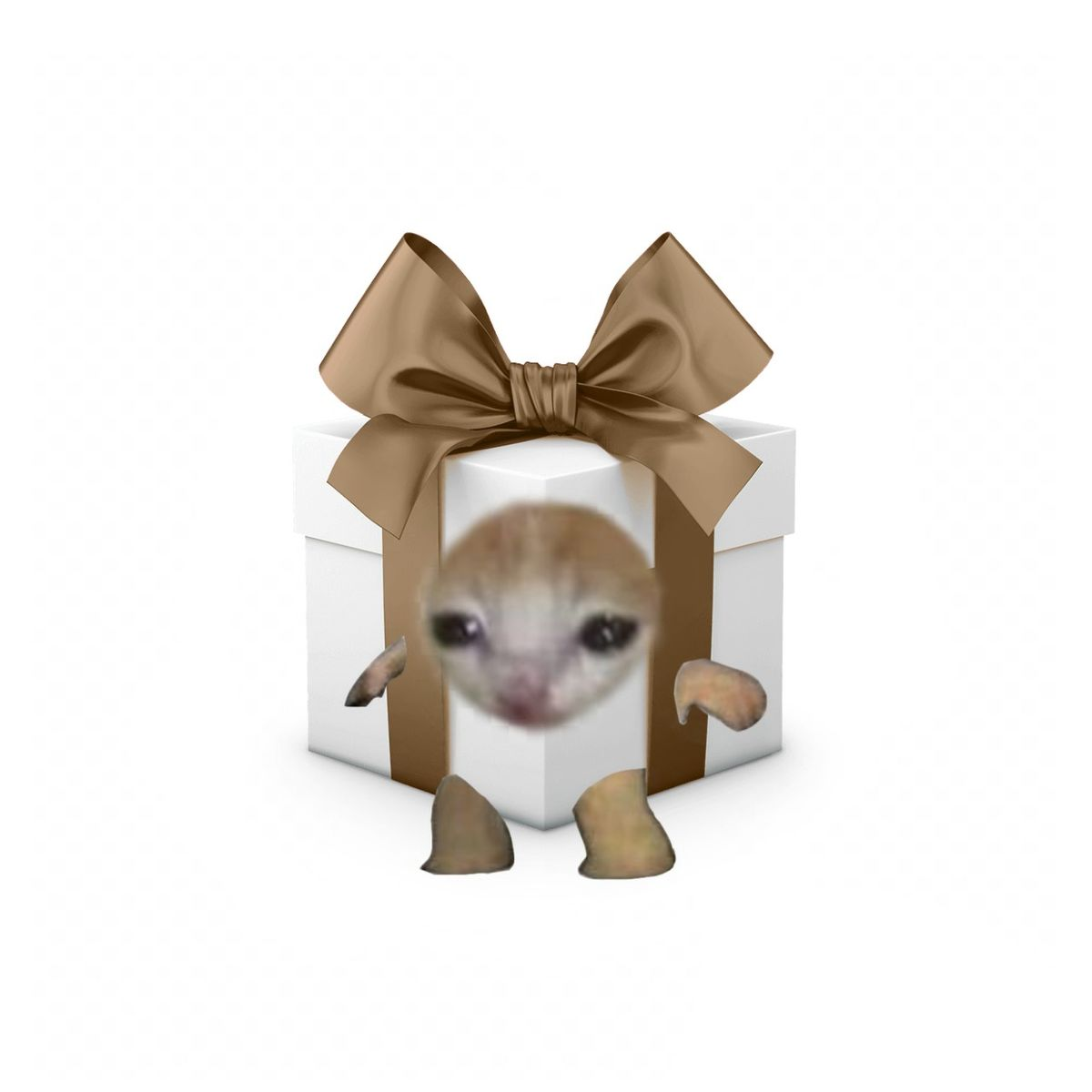 1754629489917.png