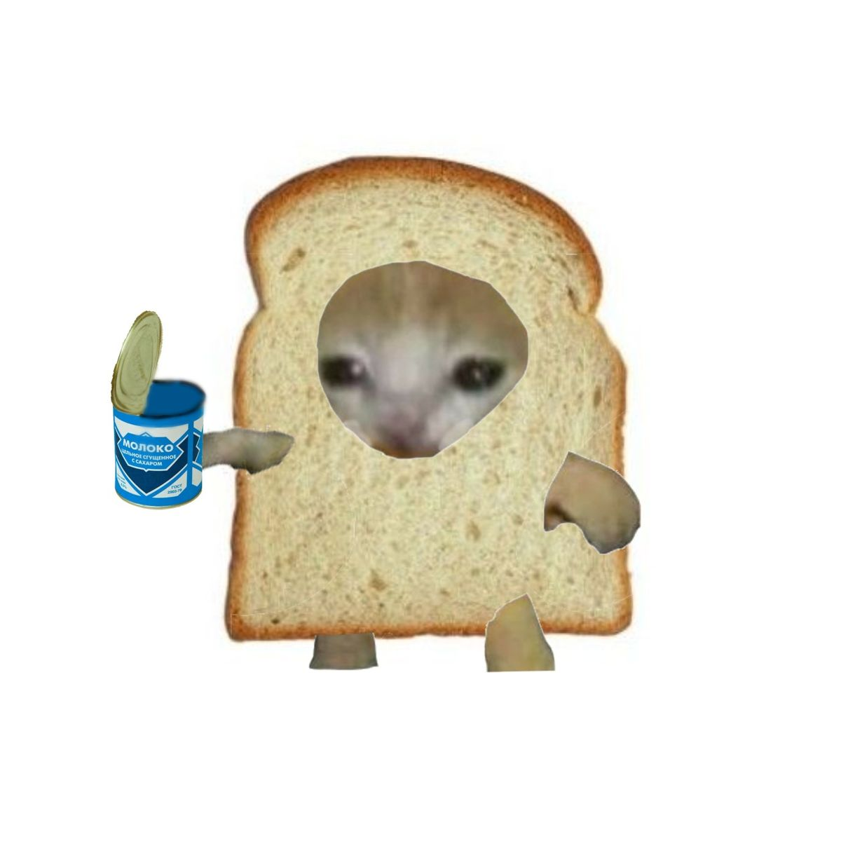 1754636450975.png