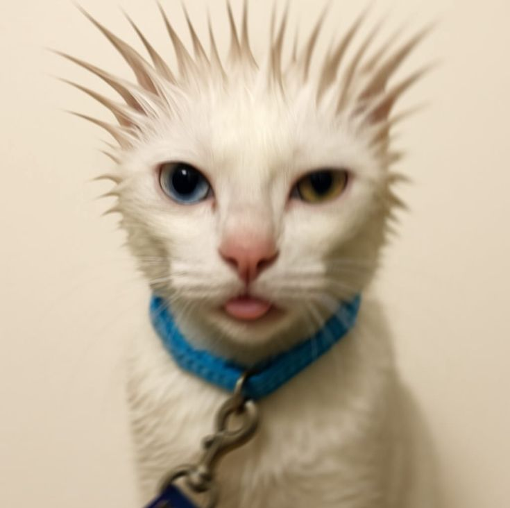 1754659197258.png