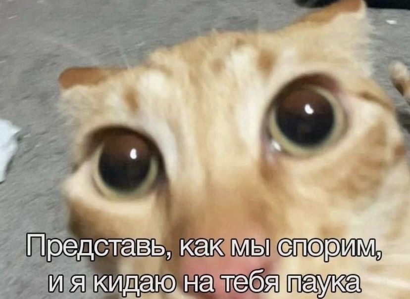 1754743506980.png