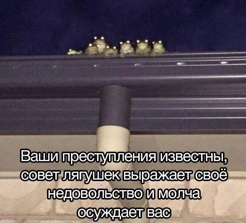 1754746341783.png