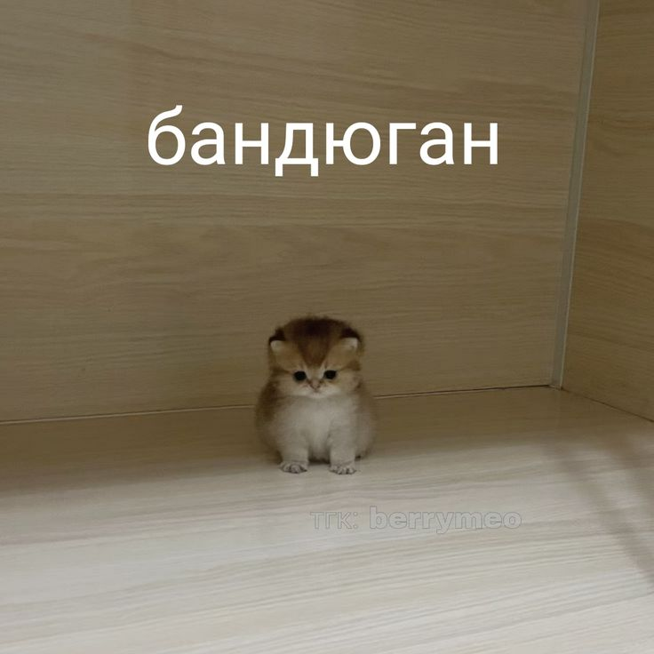 1754749758365.png