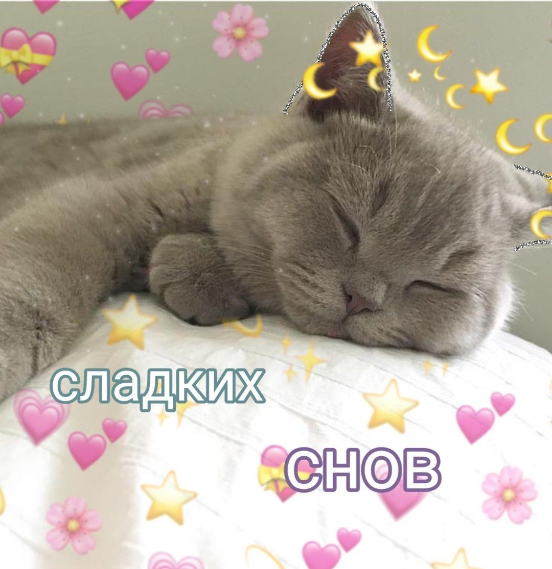 1754780472714.png
