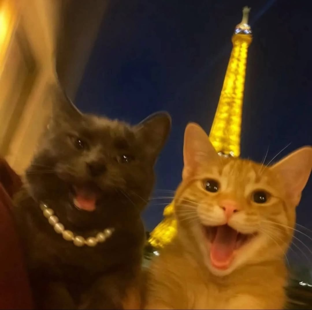 1754809811872.png