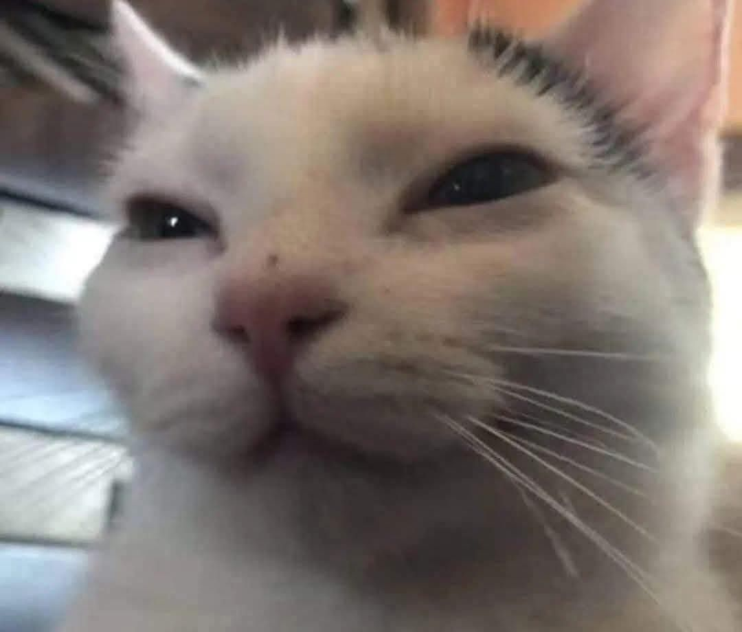 1754850745586.png