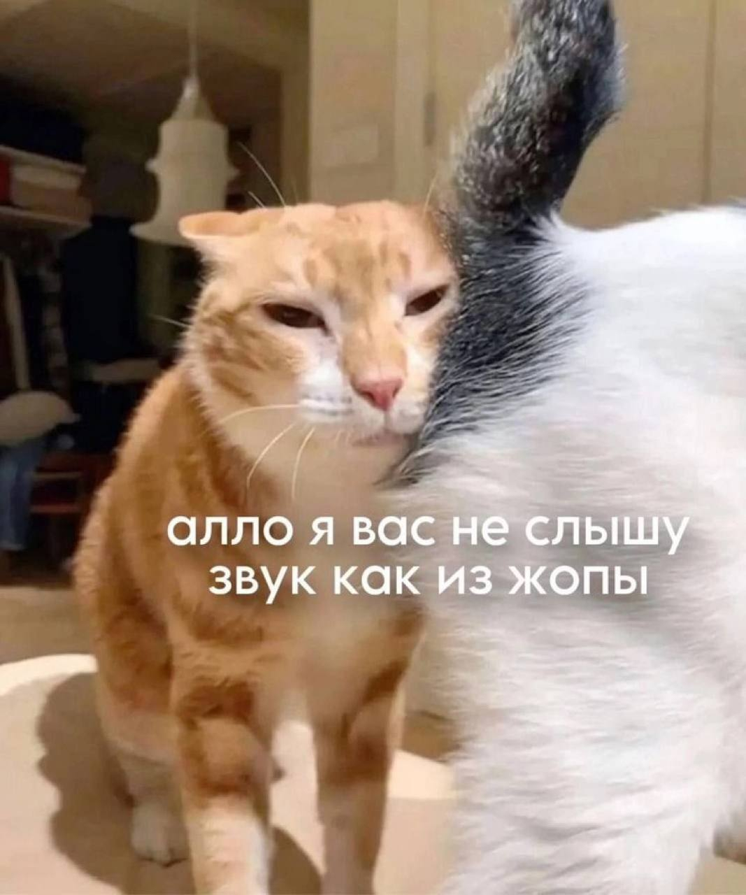 1754900360667.png
