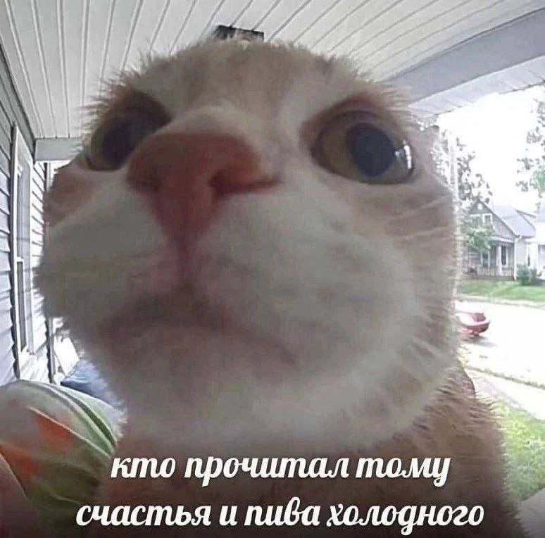 1754900486304.png