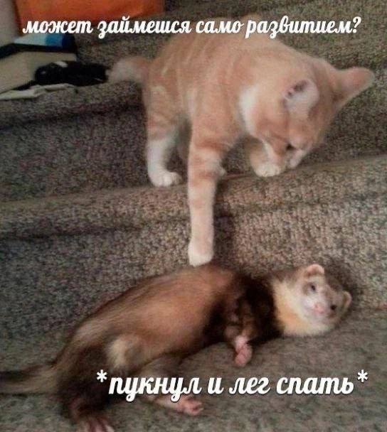 1754902372372.png