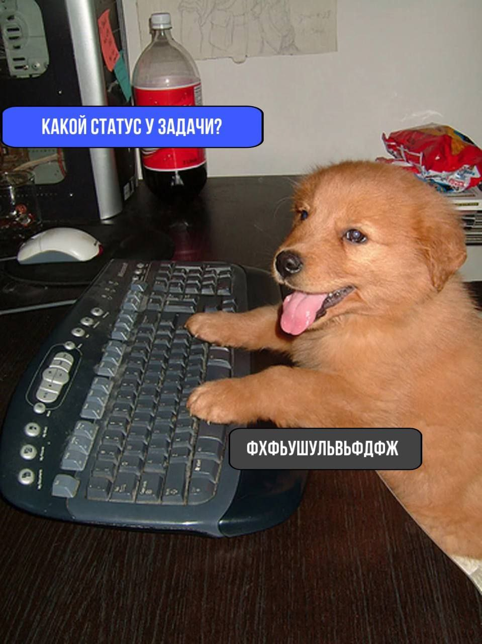 1754907865892.png