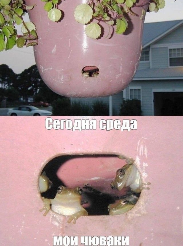 1755061214991.png
