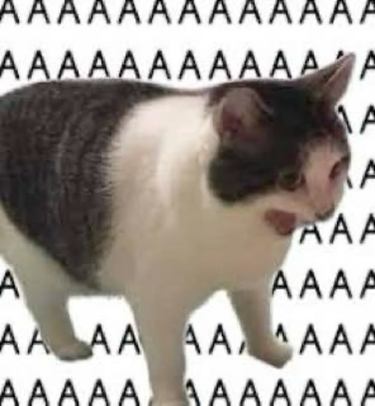 1755075839946.png