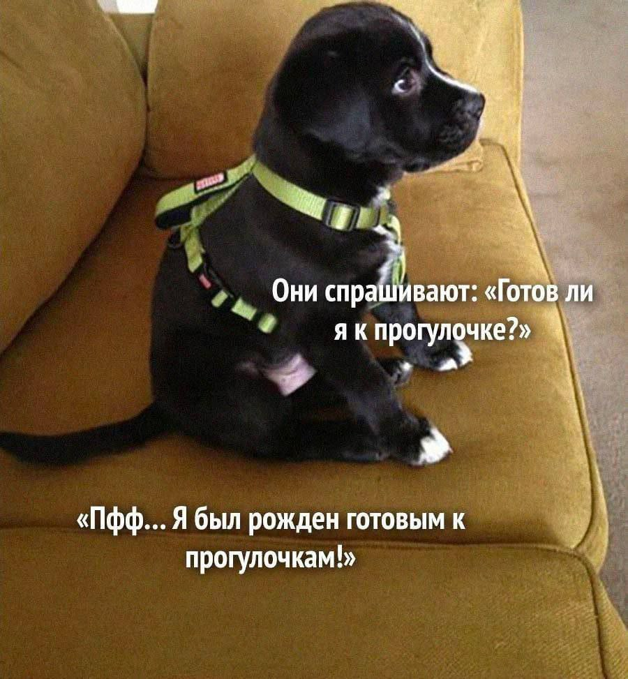 1755162027893.png