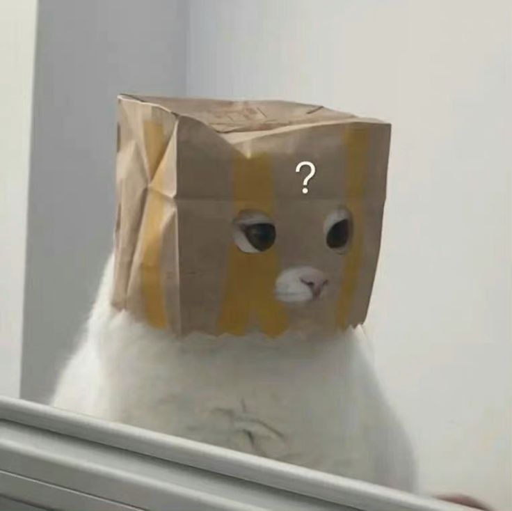 1755166437664.png