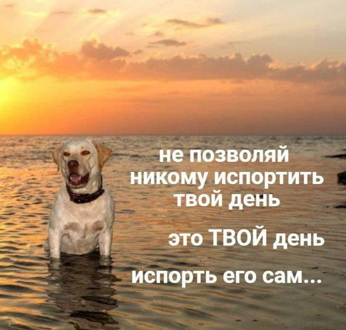 1755291852624.png