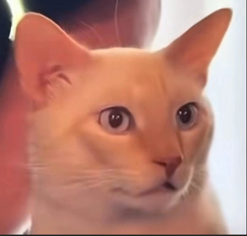 1755618727789.png