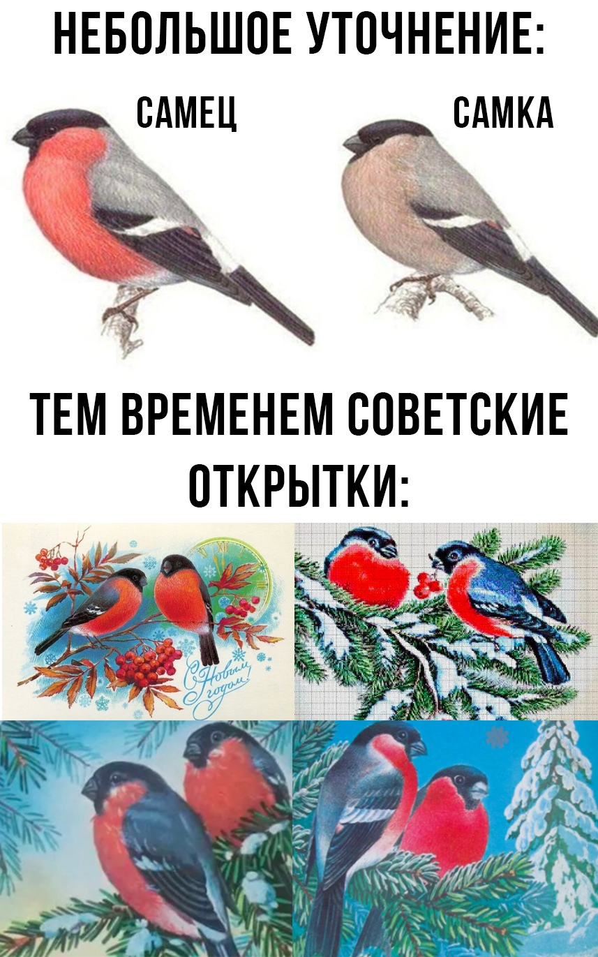 1755799583252.png