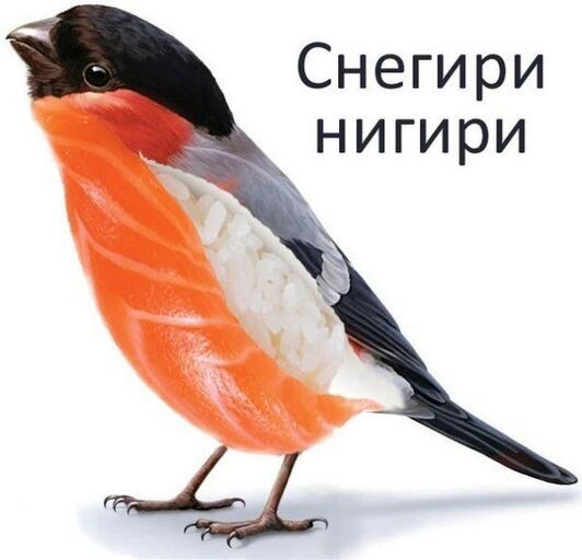 1755802063994.jpeg