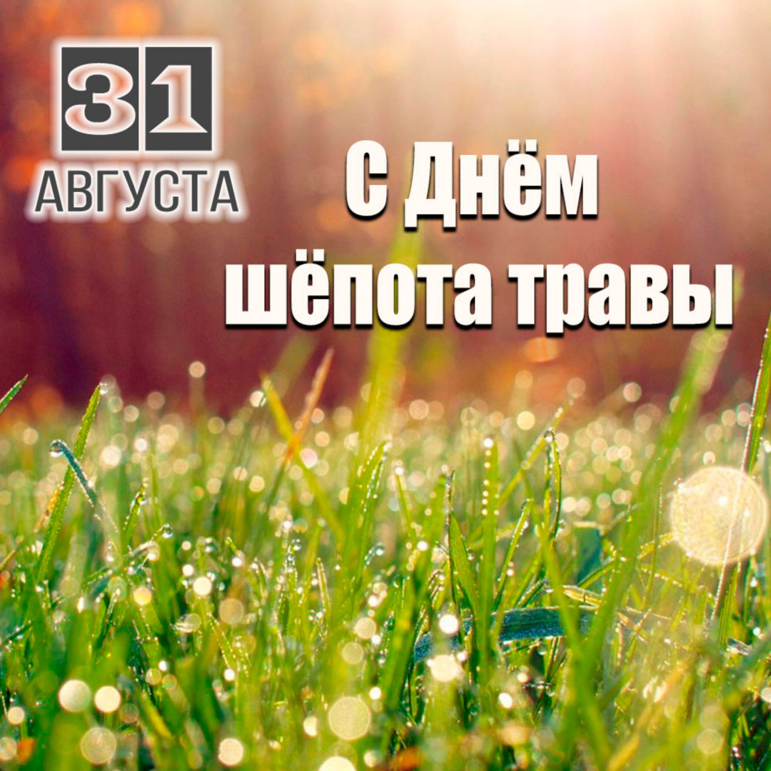 1755849531525.png