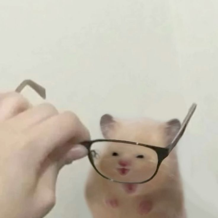 1755869637347.png