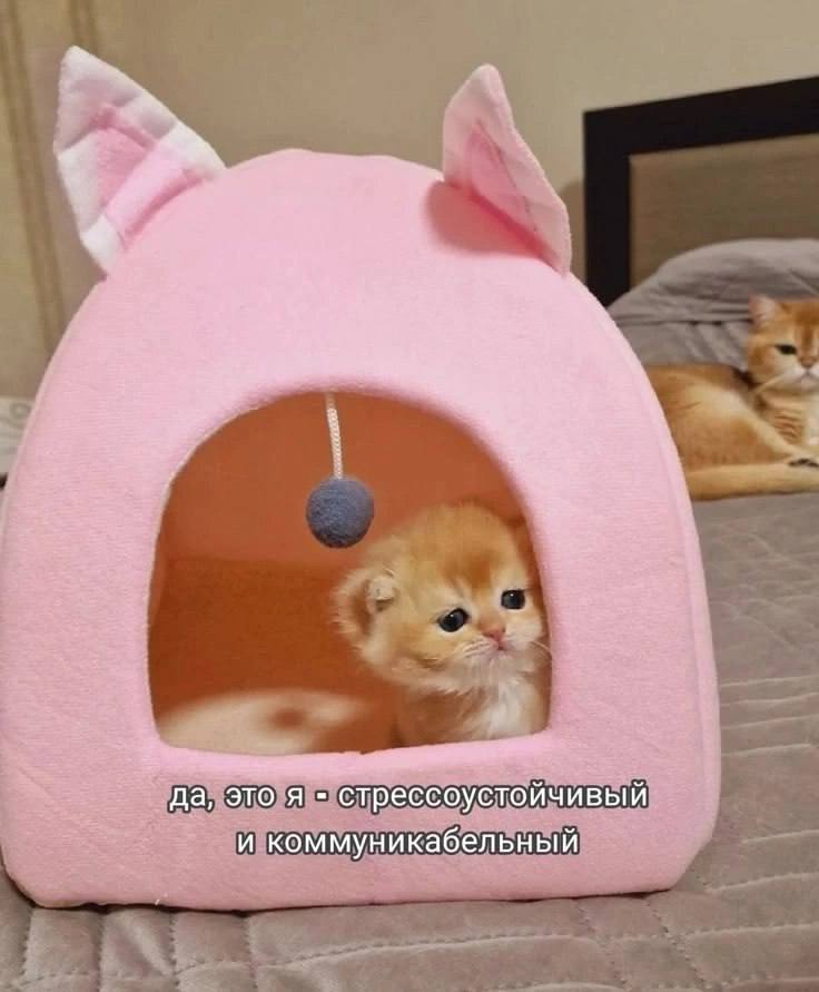 1756015389816.png