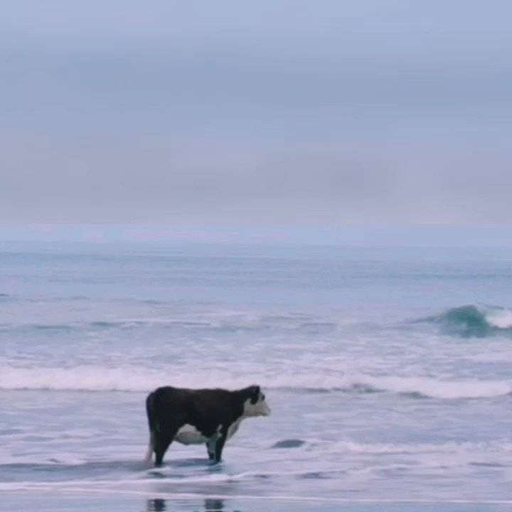 1756140820214.png