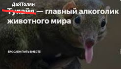 1756213119296.png