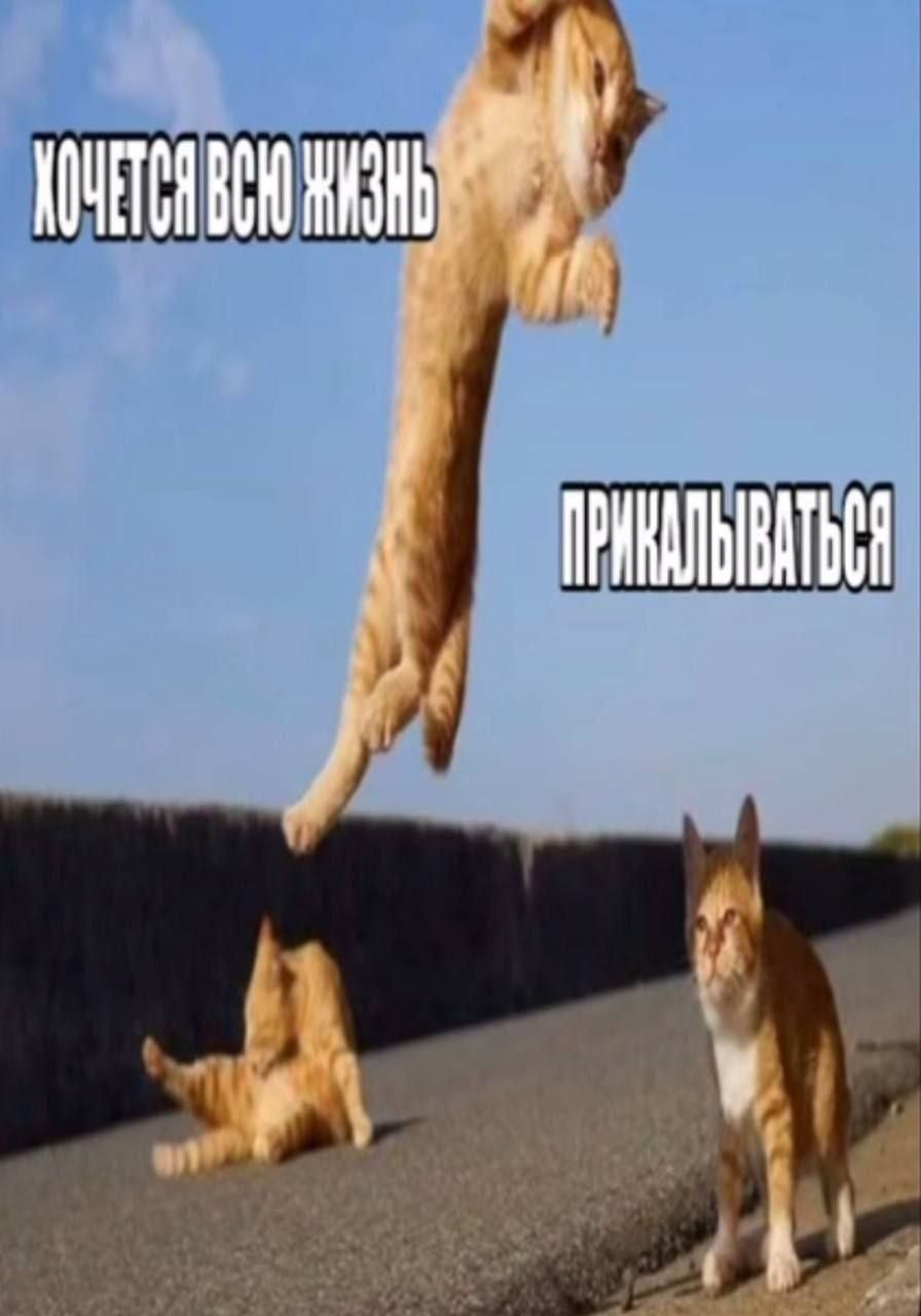 1756221852963.png