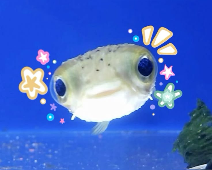 1756221903558.png