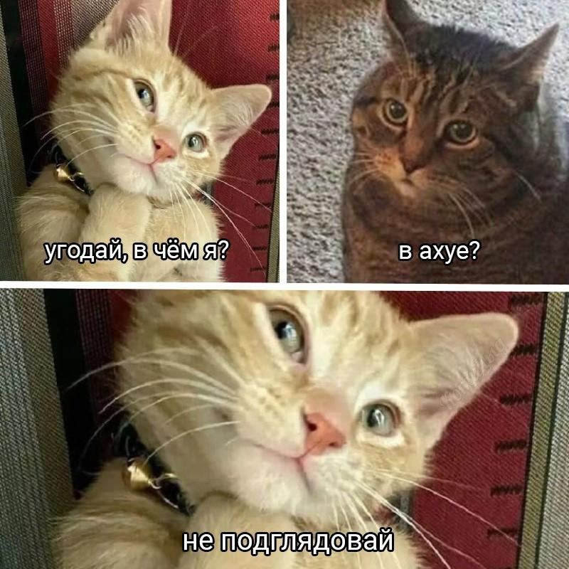 1756373659835.png