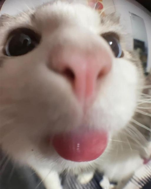 1756395737562.png