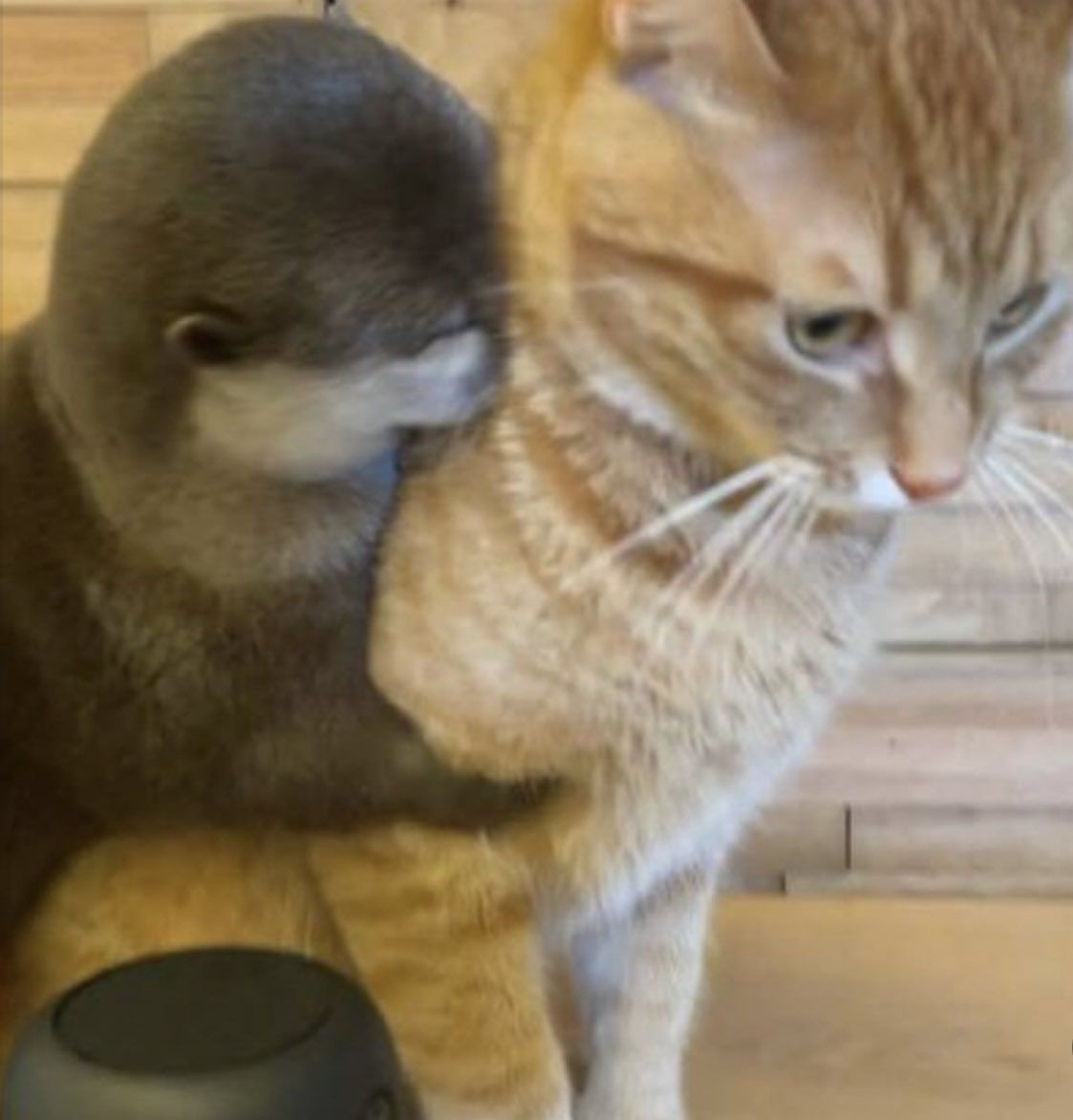 1756395892799.png