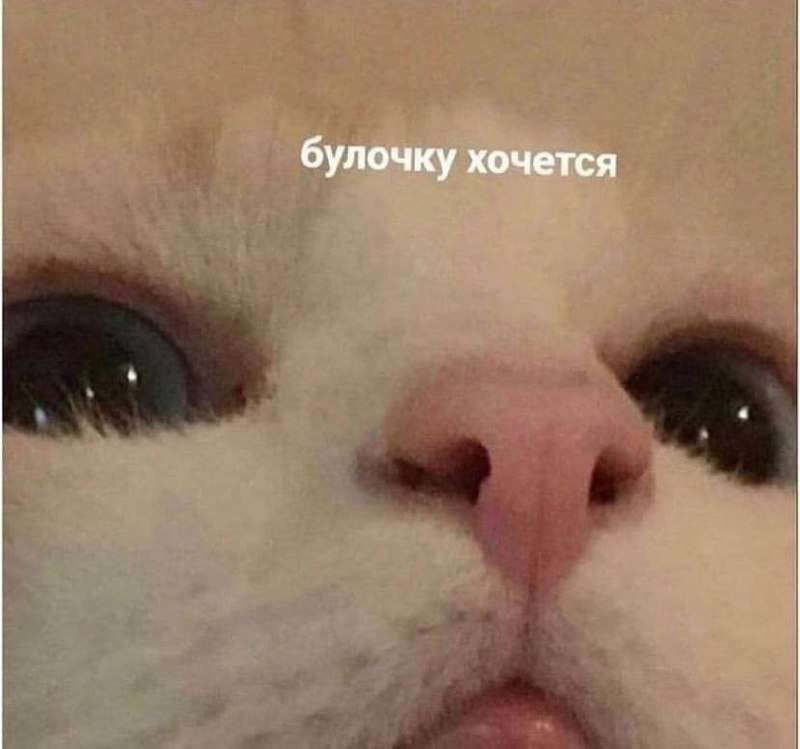 1756462118333.png