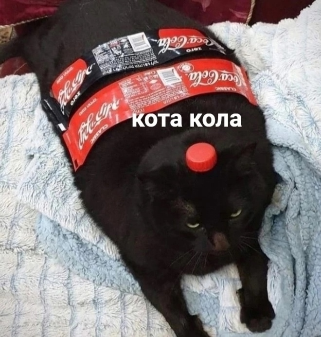 1756566894861.png