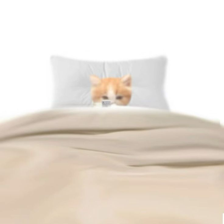 1756712649437.png