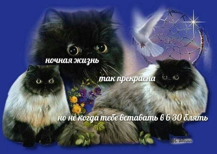 1756733769631.png