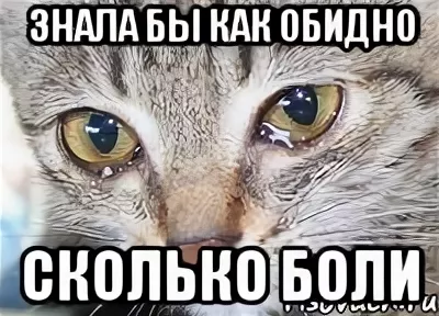 1756749092886.png