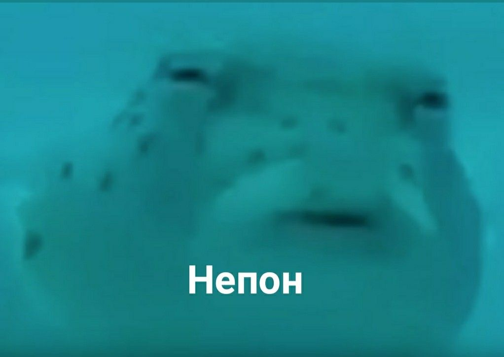 1756756895587.png
