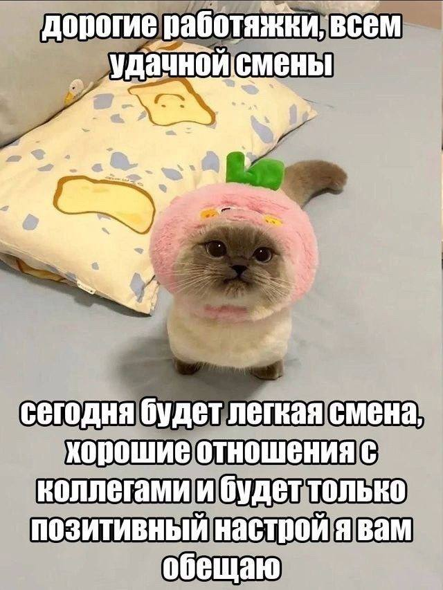 1756793938871.png