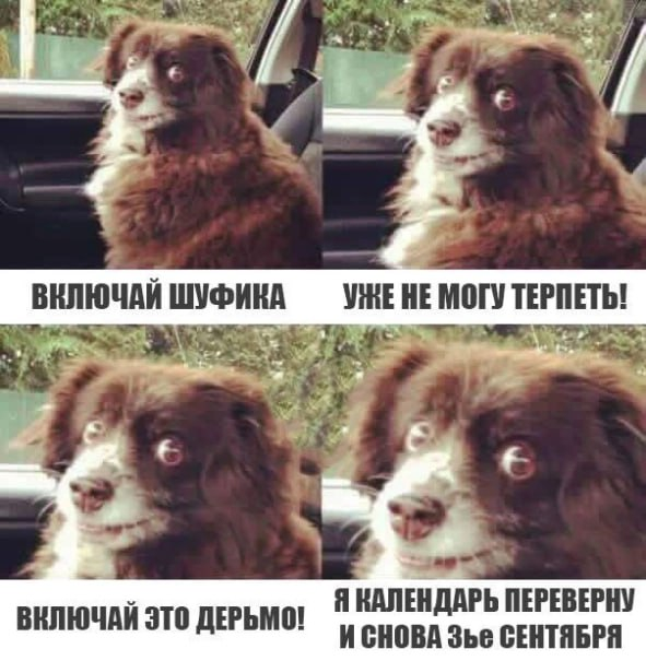 1756880377742.png