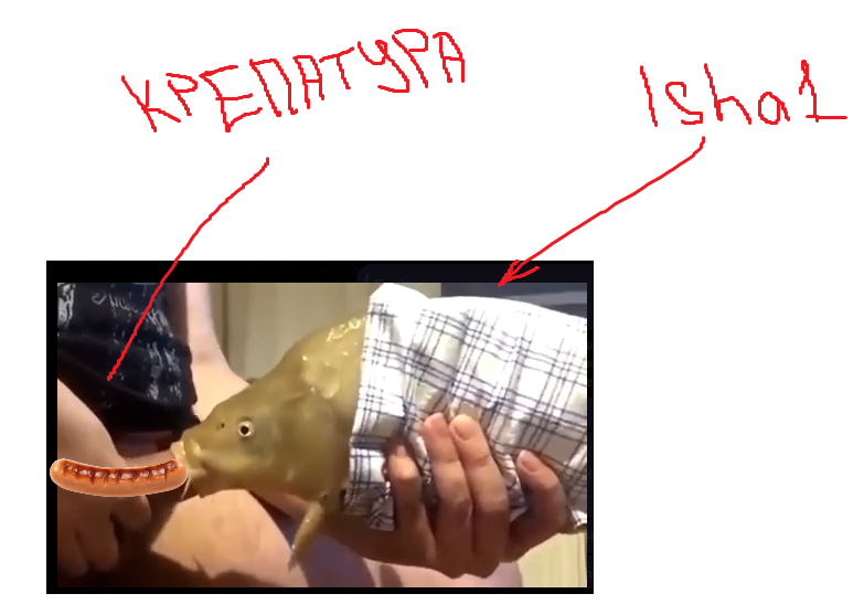 1756926734039.png