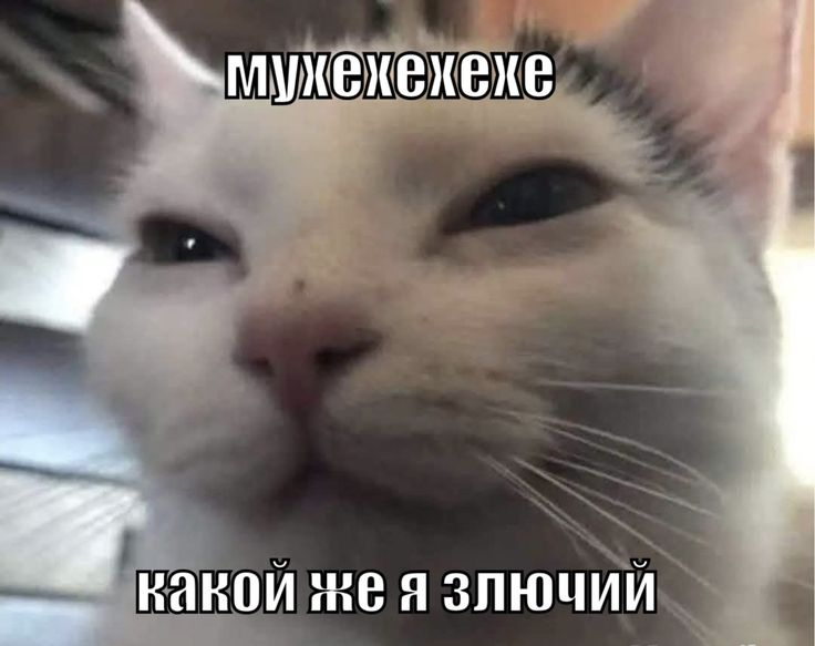 1756927106659.png