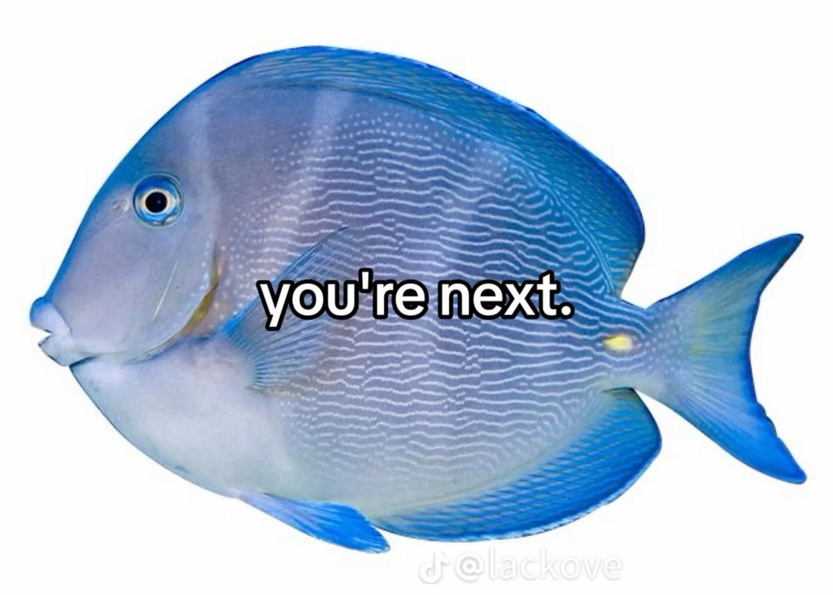 1756927818486.png